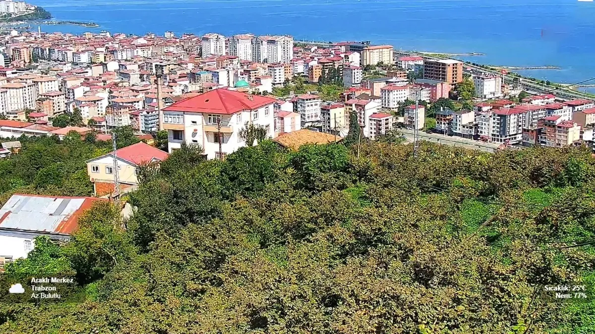 Araklı canlı kamera