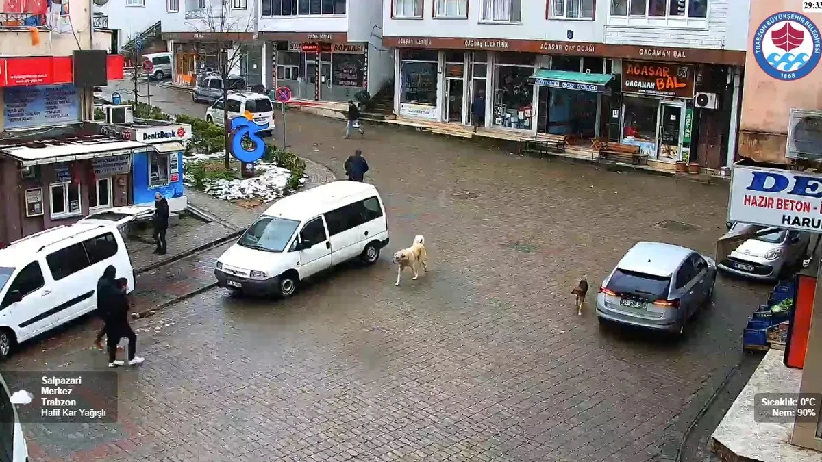 Şalpazarı canlı kamera