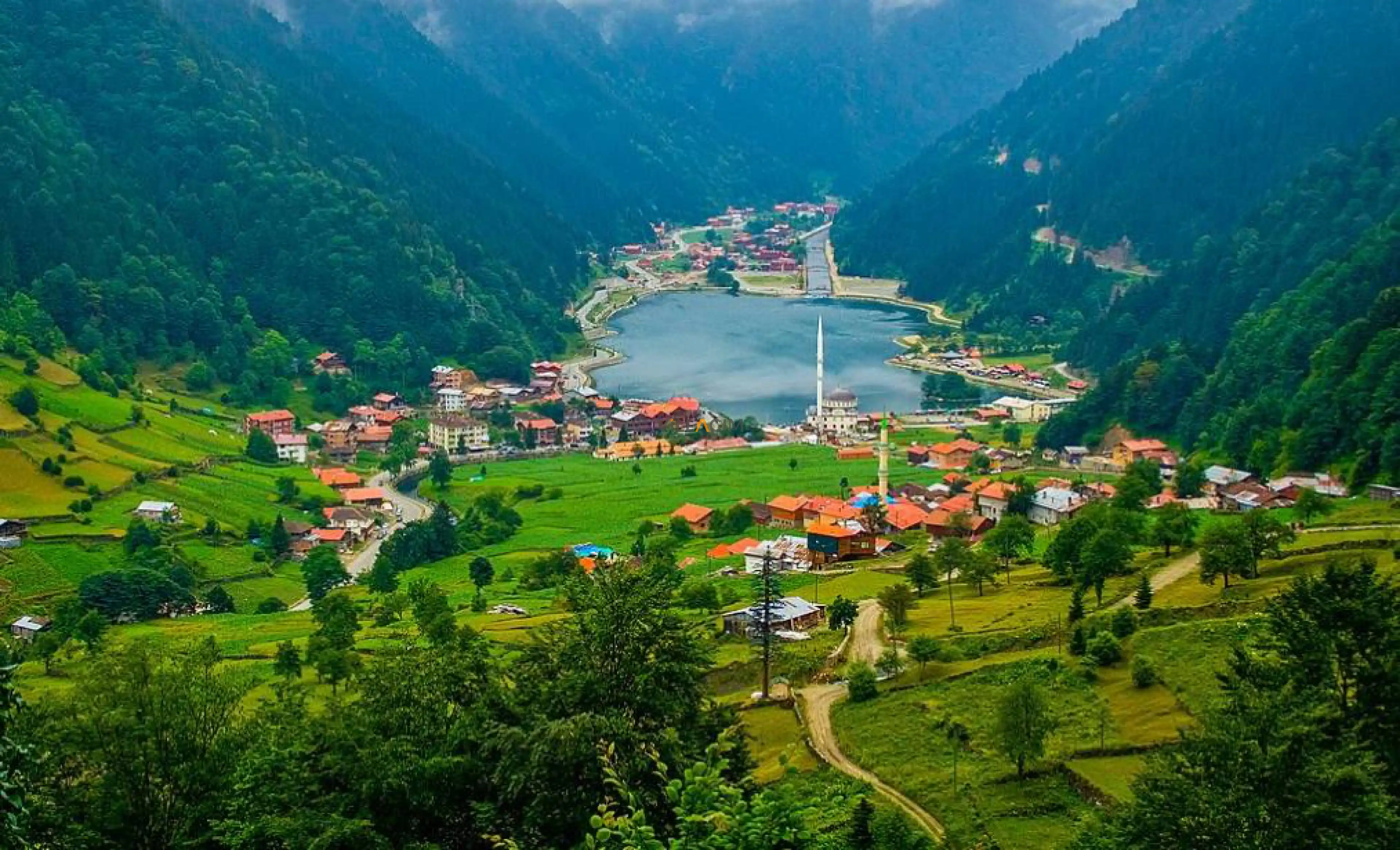 Uzungöl canlı kamera